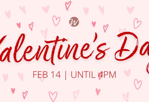 Boating Event | Aqueduct Marina Church Minshull