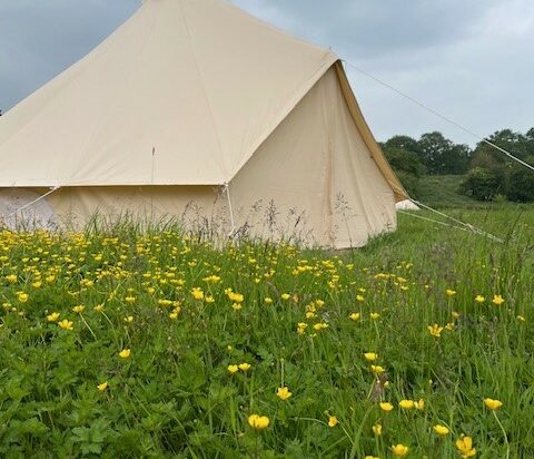 Promotion! glamping cheshire, bell tents
